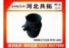 Рвпускная труба Intake Pipe:17228-R70-A01