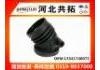 Рвпускная труба Intake Pipe:13541740073