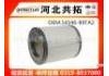 воздушный фильтр Air Filter:16546-89TA2
