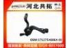 Патрубок системы охлаждения Radiator Hose:17127546064-01
