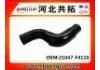 Kühlerschlauch Radiator Hose:21047-F4110