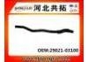 Manguera de radiador Radiator Hose:29021-03100