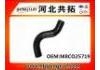 Kühlerschlauch Radiator Hose:M8CO25719