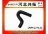 Патрубок системы охлаждения Radiator Hose:1343.J2