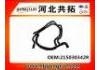 Патрубок системы охлаждения Radiator Hose:215030342R