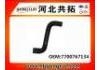 Kühlerschlauch Radiator Hose:7700767134
