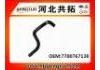 Kühlerschlauch Radiator Hose:7700767138