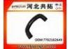 Kühlerschlauch Radiator Hose:7702182649
