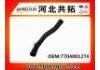 Kühlerschlauch Radiator Hose:7704001274