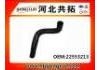 Kühlerschlauch Radiator Hose:22553213