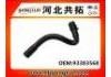 Kühlerschlauch Radiator Hose:93383568