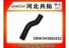 Патрубок системы охлаждения Radiator Hose:943881652