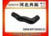 Патрубок системы охлаждения Radiator Hose:8973838121