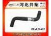 Патрубок системы охлаждения Radiator Hose:22462