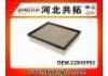 воздушный фильтр Air Filter:22845992